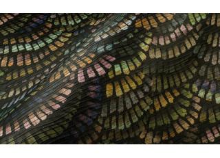 Фото - Обои Arte Memento Moooi - 579444>