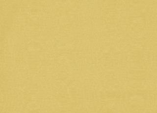 Фото - Ткани Clarke&Clarke Moire - 404023>