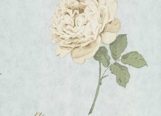 Фото - Обои для стен Paper Partnership - 252854>