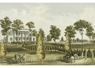 Фото - Обои Ada Wall Fiji Mural Collection - 529017>