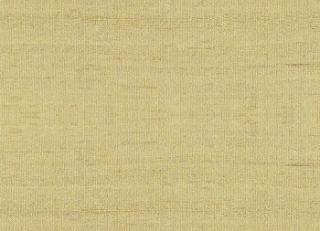 Фото - Ткани Дом CARO Silk Bombay - 533343>