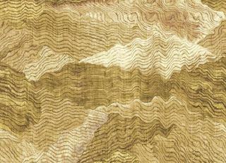 Фото - Обои Eijffinger Festival - 592135>