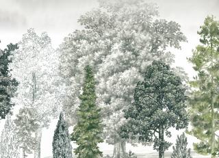 Фото - Обои Loymina Пейзаж 2 - 609819>