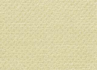 Фото - Ткани Rubelli Caesar - 524381>