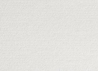 Фото - Ткани Dedar Zibi - 551477>