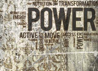 Фото - Обои Ango Linea Oriental - 330920>