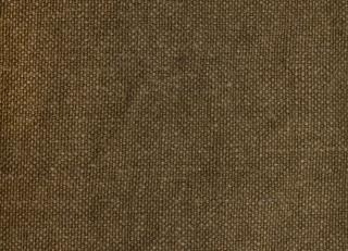 Фото - Ткани Astrid Axel - 496237>