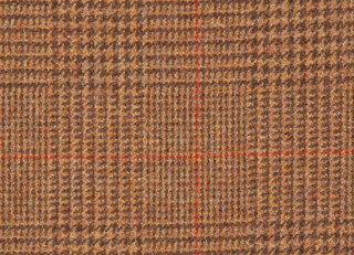 Фото - Ткани Holland & Sherry County Tweed - 632624>