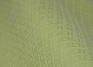 Фото - Ткани Antoine d'Albiousse Toile de Cocher gaufree - 302981>