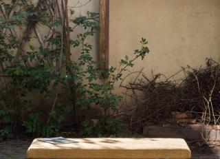 Фото - Ткани Designs Of The Time Oxide - 547479>