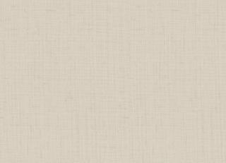 Фото - Обои Zambaiti Philipp Plein - 550611>