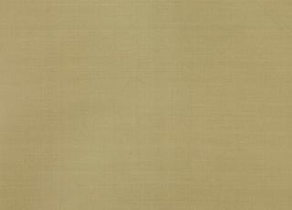 Фото - Ткани Colefax and Fowler Lucerne Silks - 436865>