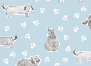 Фото - Обои Faboie Children - 622424>