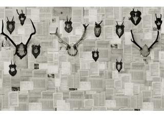 Фото - Обои Wall&Deco CODE 2015 CONTEMPORARY - 463878>