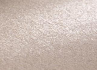 Фото - Ковры JAB Anstoetz Clarity - 572922>