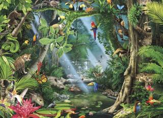 Фото - Обои Ortograf It`s Jungle - 477071>