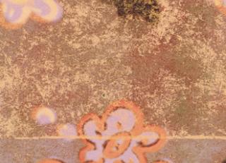 Фото - Обои Elitis Soleil - 440564>