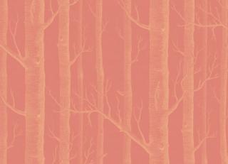 Фото - Обои Cole & Son New Contemporary Two - 232827>