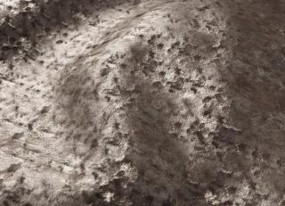 Фото - Ткани Galleria Arben Baroque - 534084>