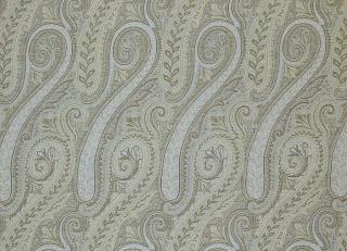 Фото - Ткани De Le Cuona Paisley - 259822>