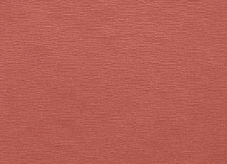 Фото - Ткани Clarke&Clarke Prima - 404411>