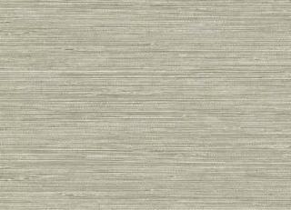 Фото - Обои Carl Robinson Edition 17 - 557844>