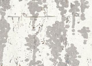 Фото - Обои Elitis Essence de liege - 509473>