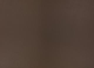 Фото - Ткани Zinc Leather Volume I - 565554>