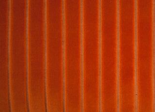 Фото - Ткани Foresti Home Collection Velluto a coste larghe - 563308>