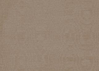 Фото - Ткани Clarke&Clarke Moire - 404056>