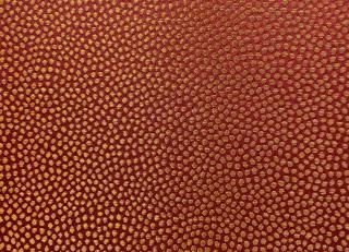 Фото - Обои Epoca Wallcoverings Amazon River - 551567>