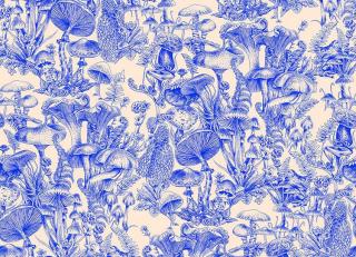 Фото - Обои Cole & Son Stella McCartney and Cole & Son - 561681>