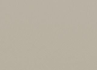 Фото - Ткани Faboie Plain VIII - 584181>