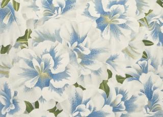 Фото - Обои Designers Guild John Derian - Picture Book - 412200>