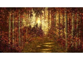 Фото - Обои Photowall Природа - 298753>