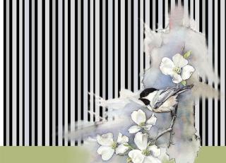 Фото - Обои Ango Linea &Co - 330711>