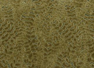 Фото - Ткани Nina Campbell Cathay Weaves - 260630>