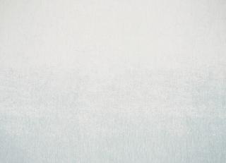 Фото - Ткани Black Edition - 456047>