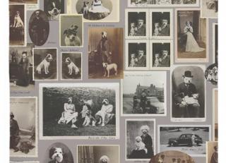 Фото - Обои для стен Graduate Collection - 409020>