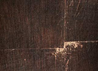 Фото - Обои Elitis Paradisio - 262176>