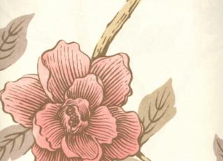 Фото - Обои Lewis & Wood Wide Width Wallpapers - 129413>