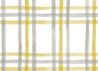 Фото - Ткани Foresti Home Collection Ischia Outdoor - 592739>