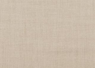 Фото - Ткани Clarke&Clarke Monsoon - 296461>