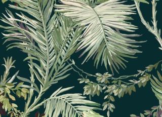 Фото - Обои Coordonne Metamorphosis - 505965>