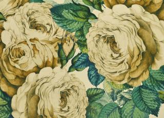 Фото - Обои Designers Guild John Derian - Picture Book - 412187>