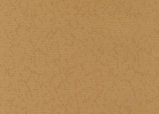 Фото - Обои Desima Top Line - 547225>