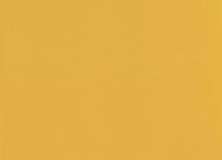 Фото - Обои Caselio Girl Power - 538851>