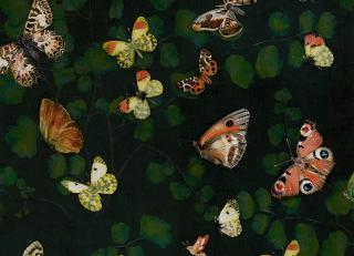 Фото - Обои Coordonne Naturae - 559392>