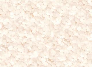 Фото - Обои Koziel The Boutique de l'Imposture's selection - 326815>