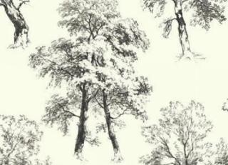 Фото - Обои Ashford House Ashford Toiles - 316637>